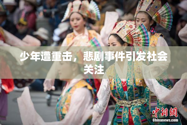 少年遭重击，悲剧事件引发社会关注