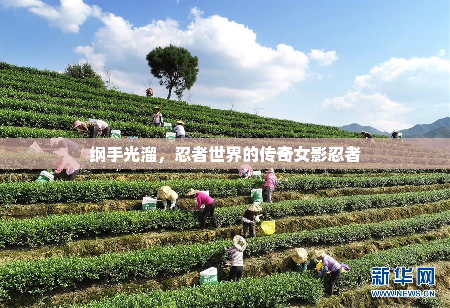 纲手光溜，忍者世界的传奇女影忍者