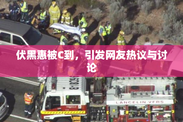 伏黑惠被C到，引发网友热议与讨论