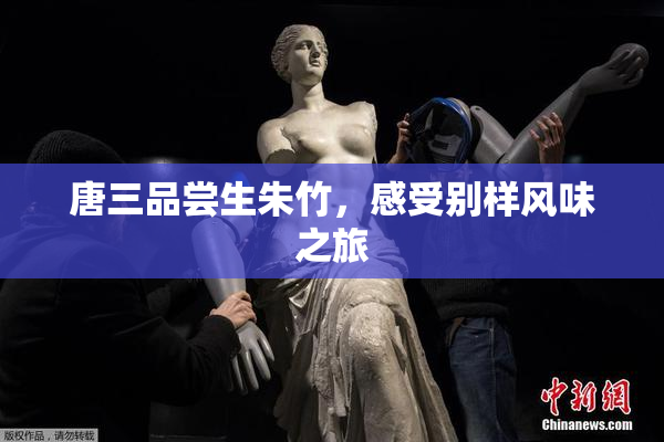 唐三品尝生朱竹，感受别样风味之旅
