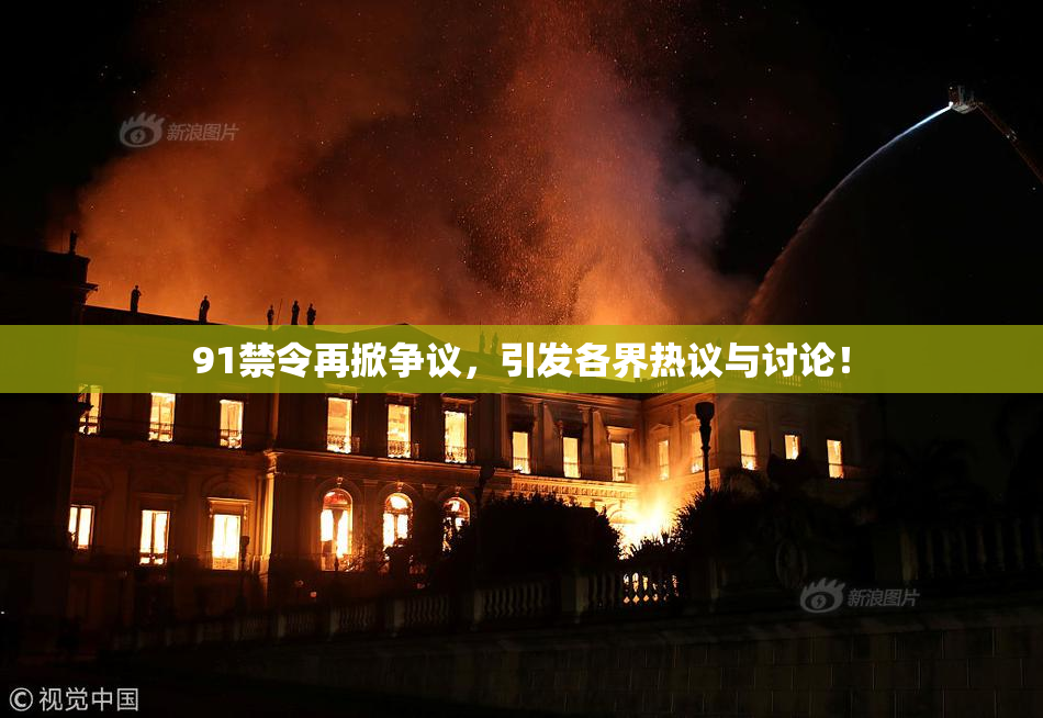91禁令再掀争议，引发各界热议与讨论！
