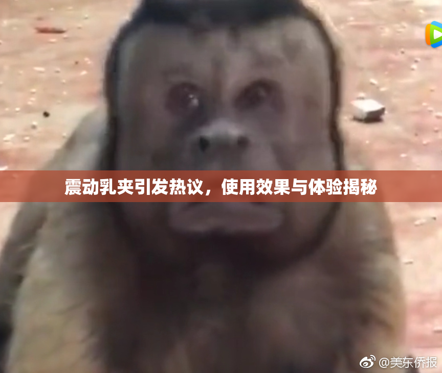 震动乳夹引发热议，使用效果与体验揭秘