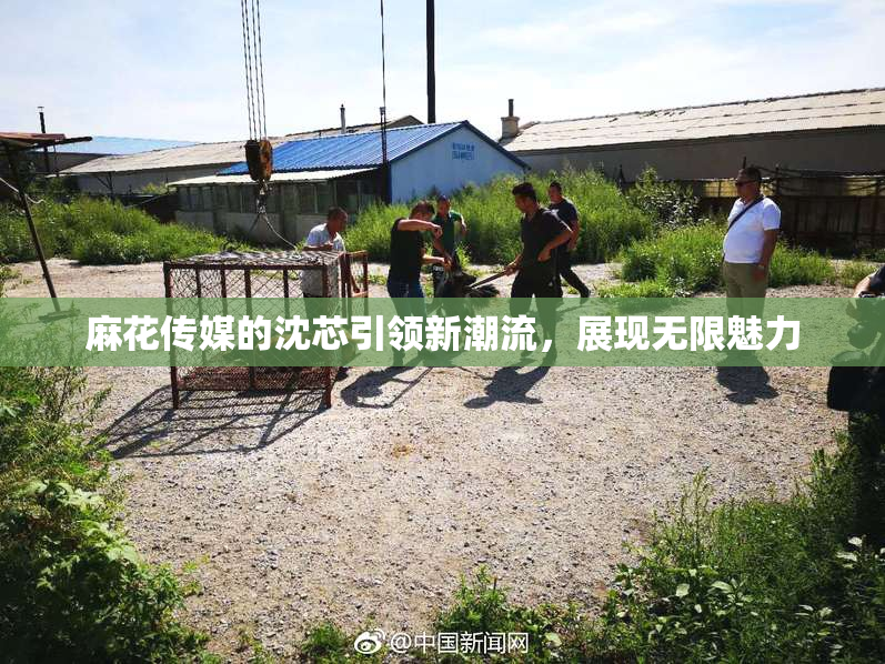 麻花传媒的沈芯引领新潮流，展现无限魅力