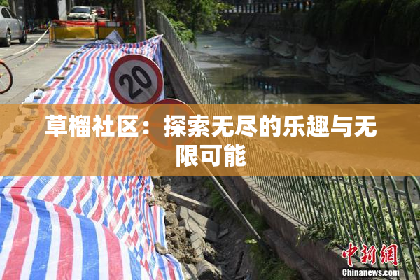 草榴社区：探索无尽的乐趣与无限可能