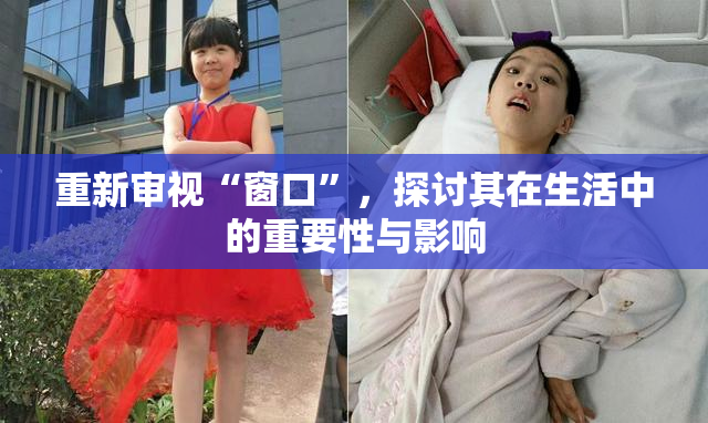 重新审视“窗口”，探讨其在生活中的重要性与影响
