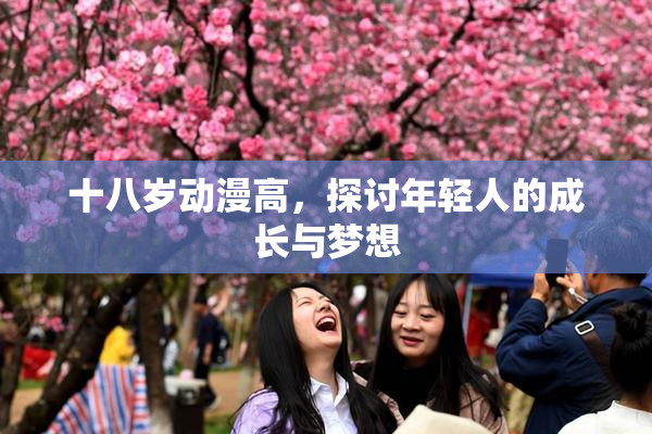 十八岁动漫高，探讨年轻人的成长与梦想