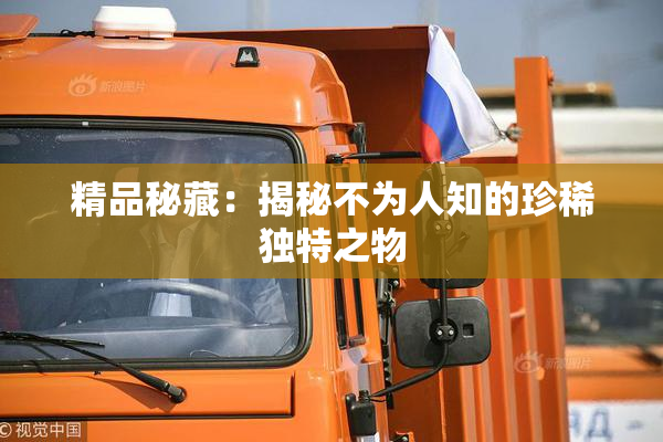 精品秘藏：揭秘不为人知的珍稀独特之物