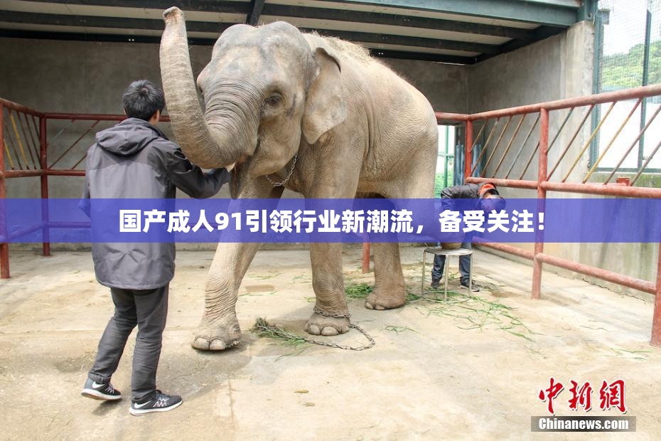 国产成人91引领行业新潮流，备受关注！