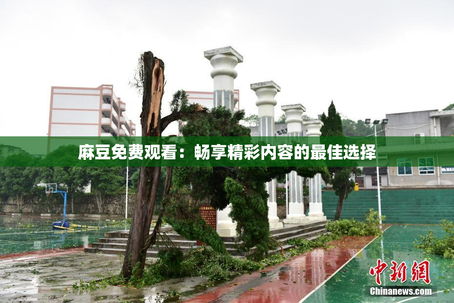 麻豆免费观看：畅享精彩内容的最佳选择
