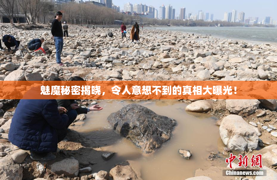 魅魔秘密揭晓，令人意想不到的真相大曝光！