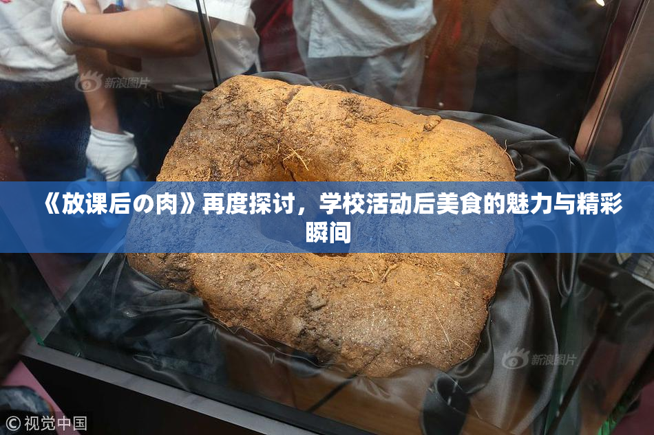 《放课后の肉》再度探讨，学校活动后美食的魅力与精彩瞬间