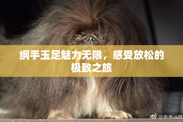 纲手玉足魅力无限，感受放松的极致之旅