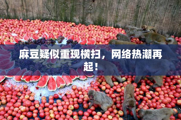 麻豆疑似重现横扫，网络热潮再起！
