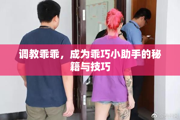 调教乖乖，成为乖巧小助手的秘籍与技巧
