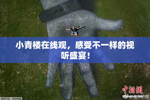 小青楼在线观，感受不一样的视听盛宴！