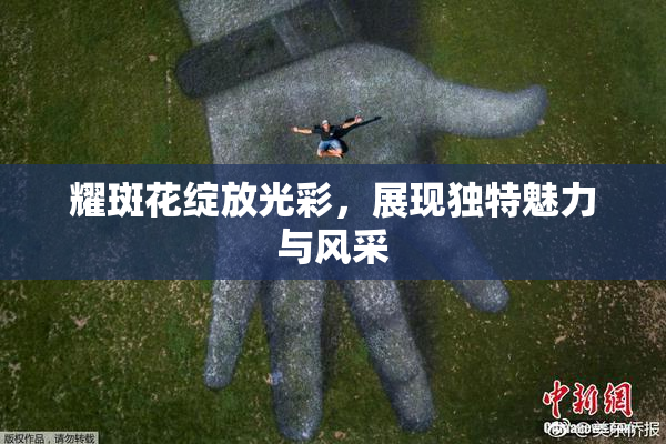 耀斑花绽放光彩，展现独特魅力与风采