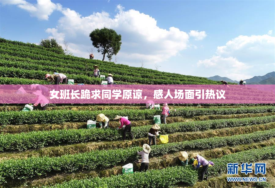 女班长跪求同学原谅，感人场面引热议