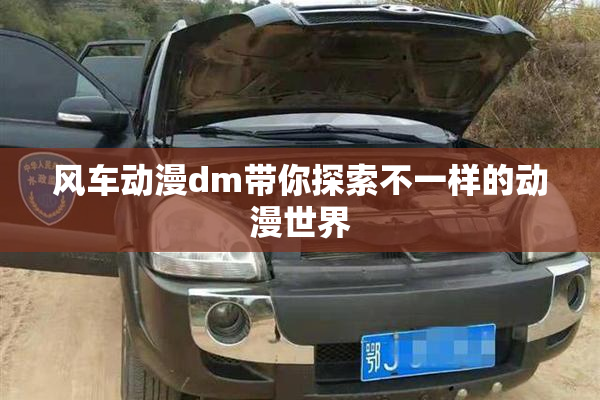 风车动漫dm带你探索不一样的动漫世界