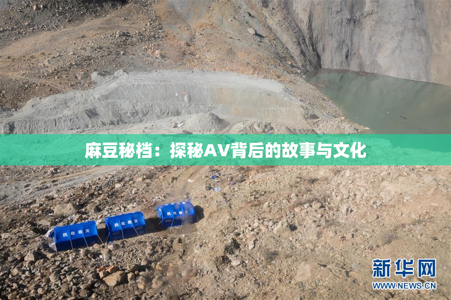 麻豆秘档：探秘AV背后的故事与文化