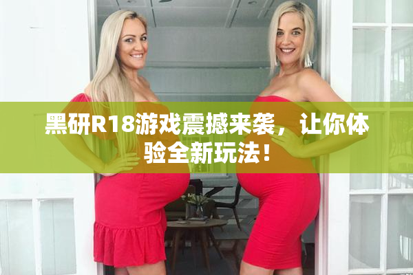 黑研R18游戏震撼来袭，让你体验全新玩法！