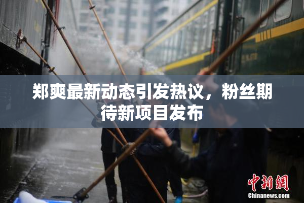 郑爽最新动态引发热议，粉丝期待新项目发布
