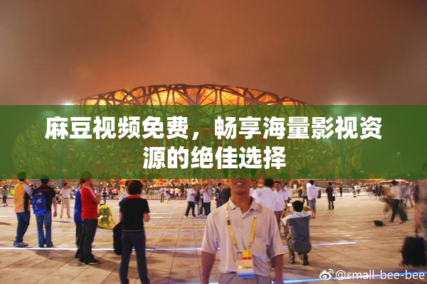 麻豆视频免费，畅享海量影视资源的绝佳选择