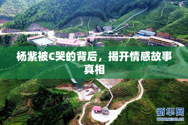 杨紫被C哭的背后，揭开情感故事真相