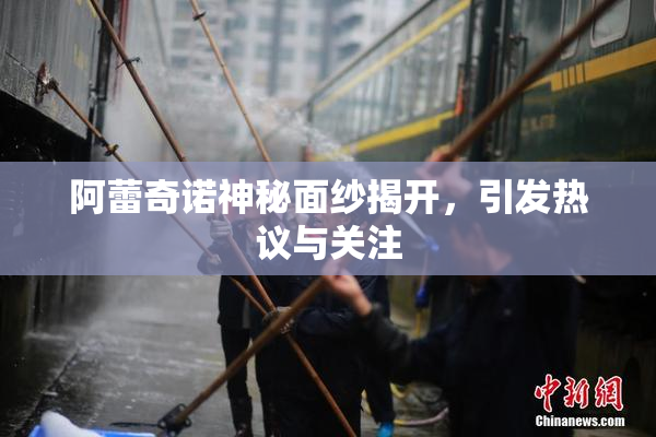 阿蕾奇诺神秘面纱揭开，引发热议与关注