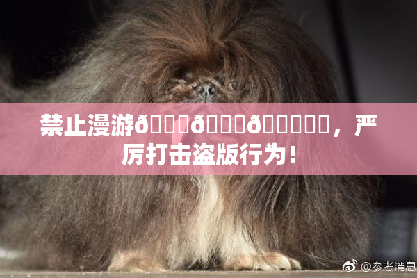 禁止漫游🍆🍑🔞❌‌，严厉打击盗版行为！