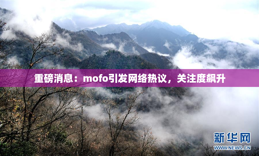 重磅消息：mofo引发网络热议，关注度飙升