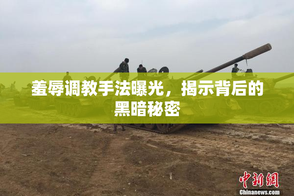 羞辱调教手法曝光，揭示背后的黑暗秘密