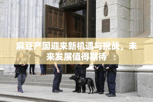 麻豆产国迎来新机遇与挑战，未来发展值得期待