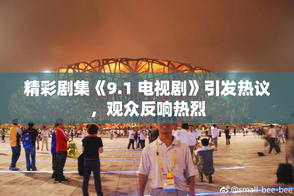 精彩剧集《9.1 电视剧》引发热议，观众反响热烈