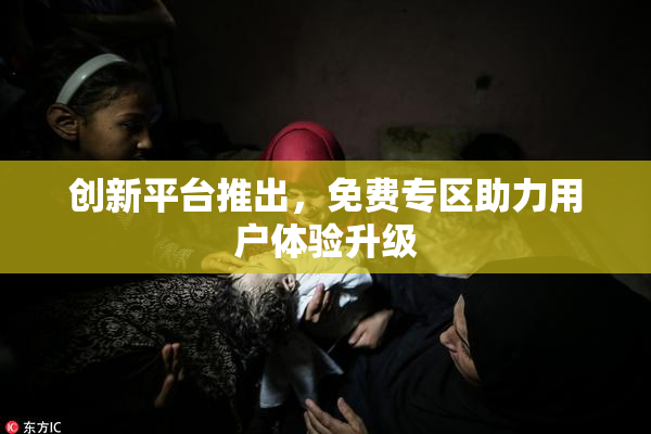 创新平台推出，免费专区助力用户体验升级