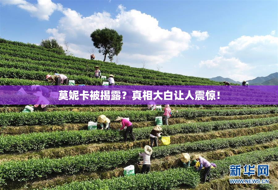莫妮卡被揭露？真相大白让人震惊！