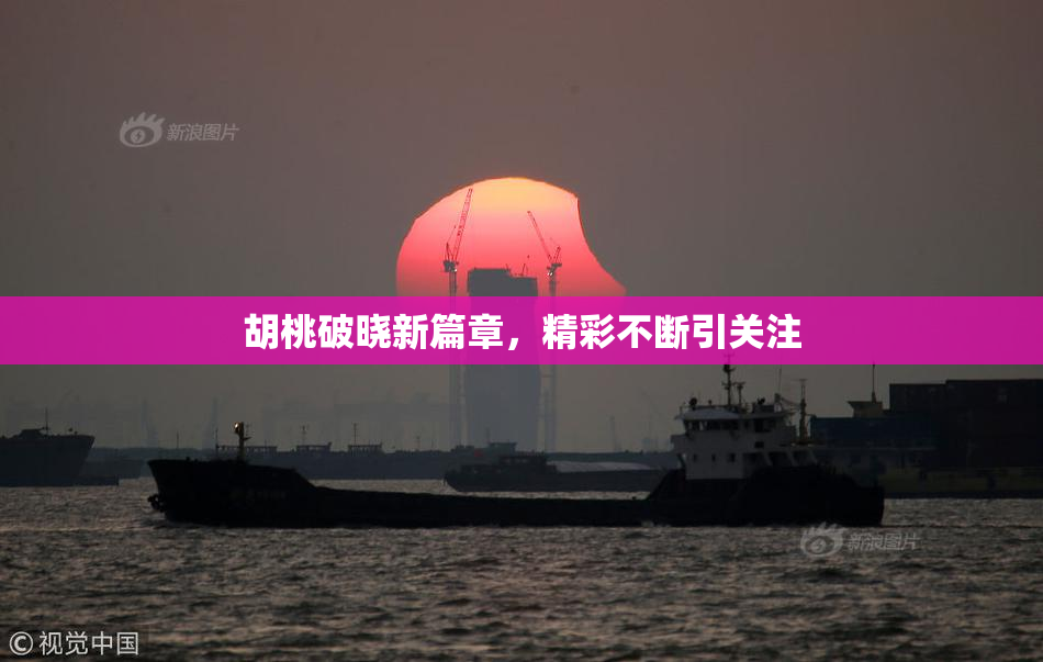 胡桃破晓新篇章，精彩不断引关注