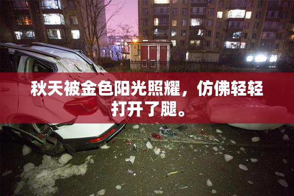 秋天被金色阳光照耀，仿佛轻轻打开了腿。