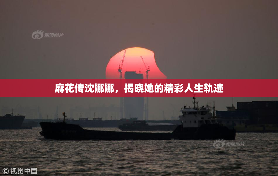 麻花传沈娜娜，揭晓她的精彩人生轨迹