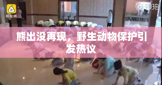 熊出没再现，野生动物保护引发热议