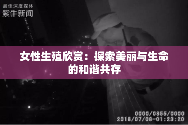 女性生殖欣赏：探索美丽与生命的和谐共存