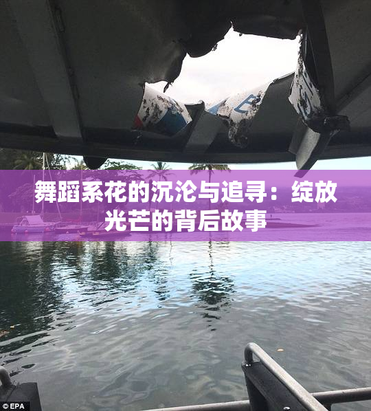 舞蹈系花的沉沦与追寻：绽放光芒的背后故事