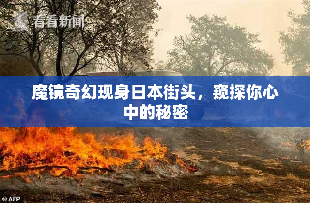 魔镜奇幻现身日本街头，窥探你心中的秘密