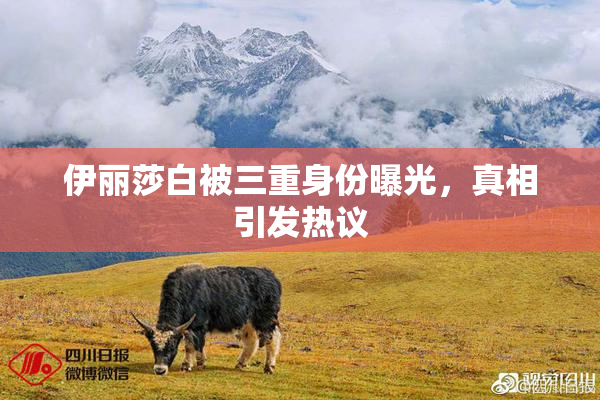 伊丽莎白被三重身份曝光，真相引发热议