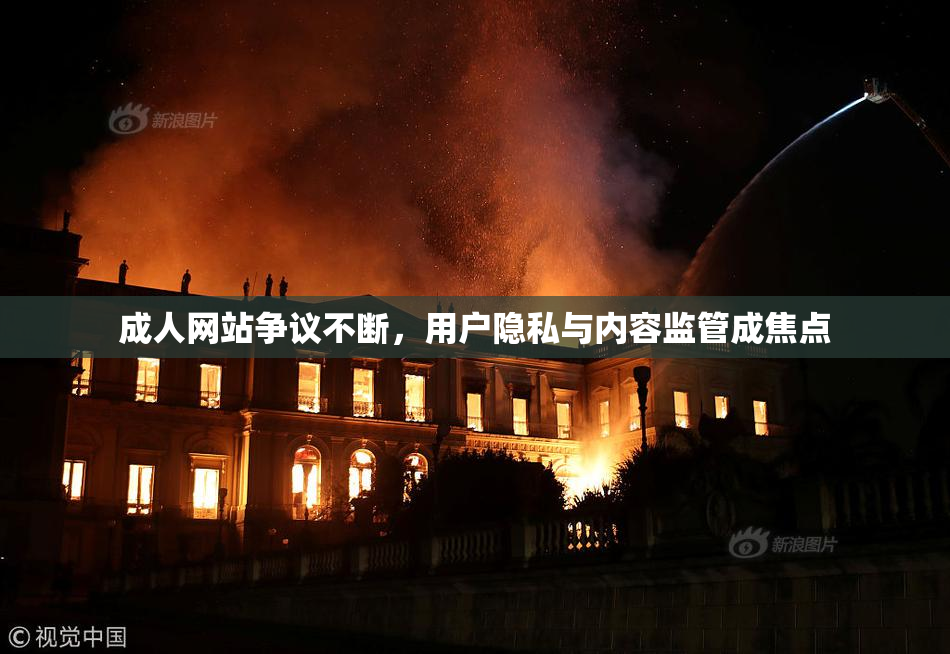 成人网站争议不断，用户隐私与内容监管成焦点
