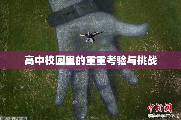 高中校园里的重重考验与挑战