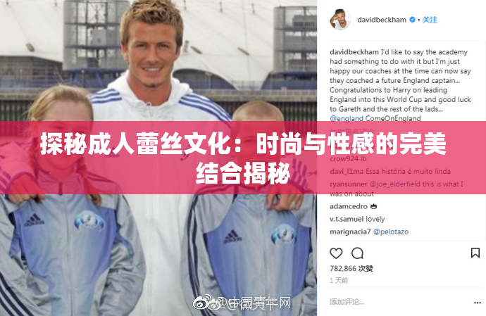 探秘成人蕾丝文化：时尚与性感的完美结合揭秘