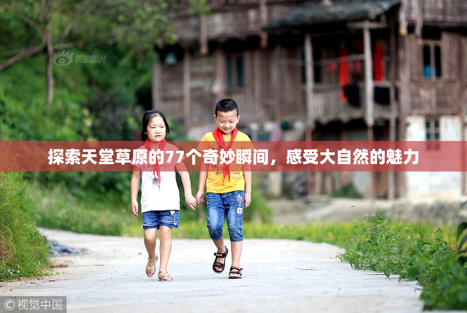 探索天堂草原的77个奇妙瞬间，感受大自然的魅力