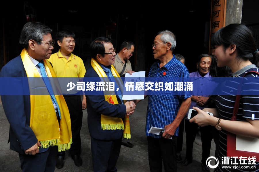 少司缘流泪，情感交织如潮涌