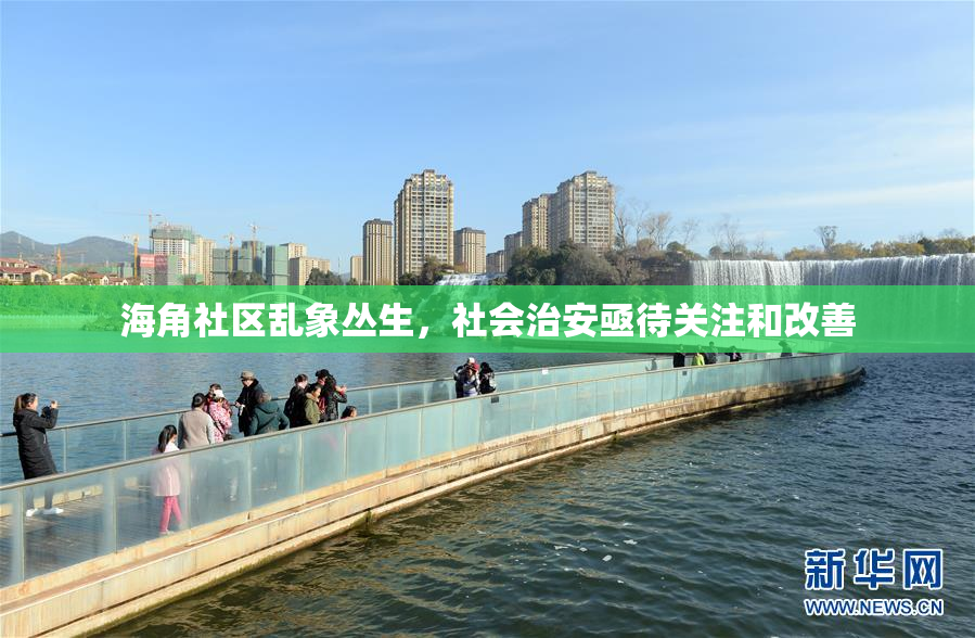 海角社区乱象丛生，社会治安亟待关注和改善