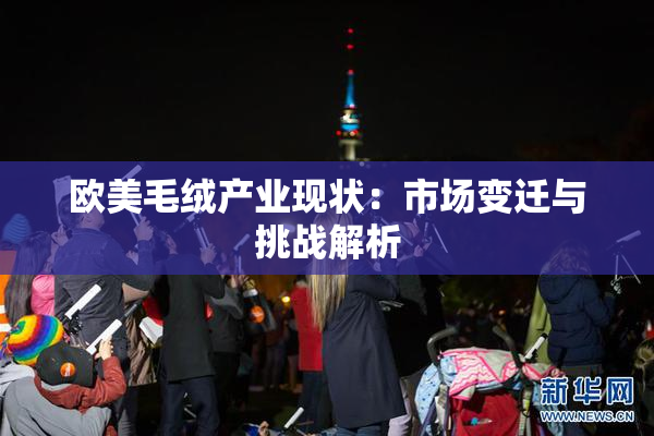 欧美毛绒产业现状：市场变迁与挑战解析